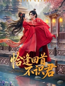 恰逢回首不识君(全集)