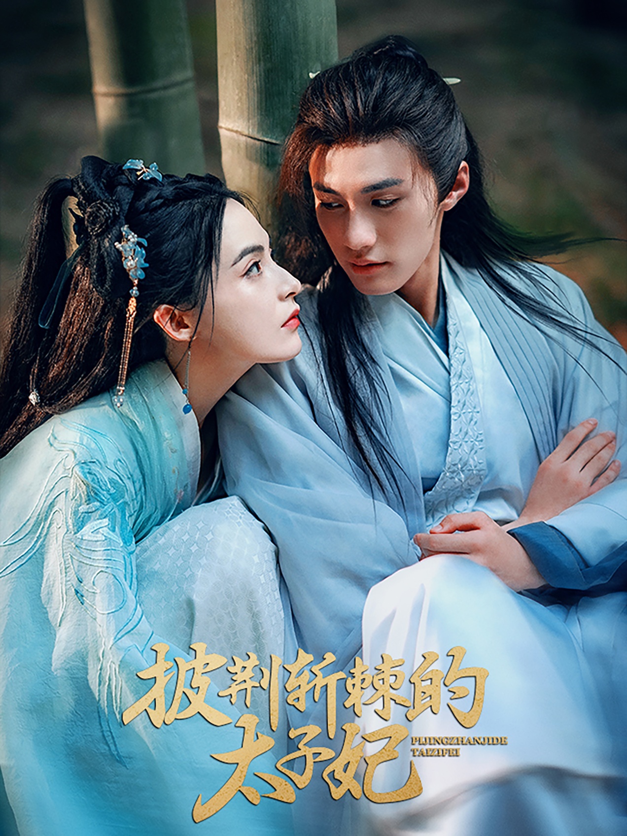 披荆斩棘的太子妃 第1集