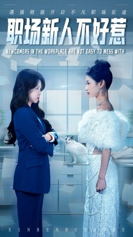 职场新人不好惹 第29集