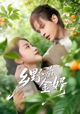 乡野藏金婿(全集)