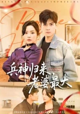 兵神归来，老婆最大(全集)