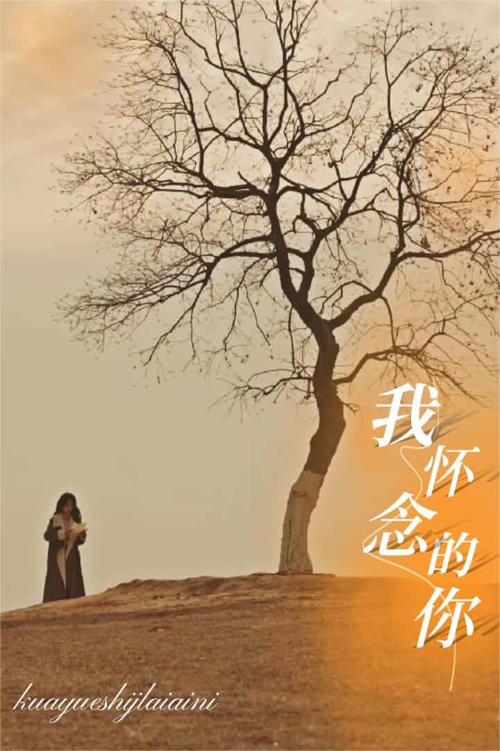 跨越时间来爱你(全集)