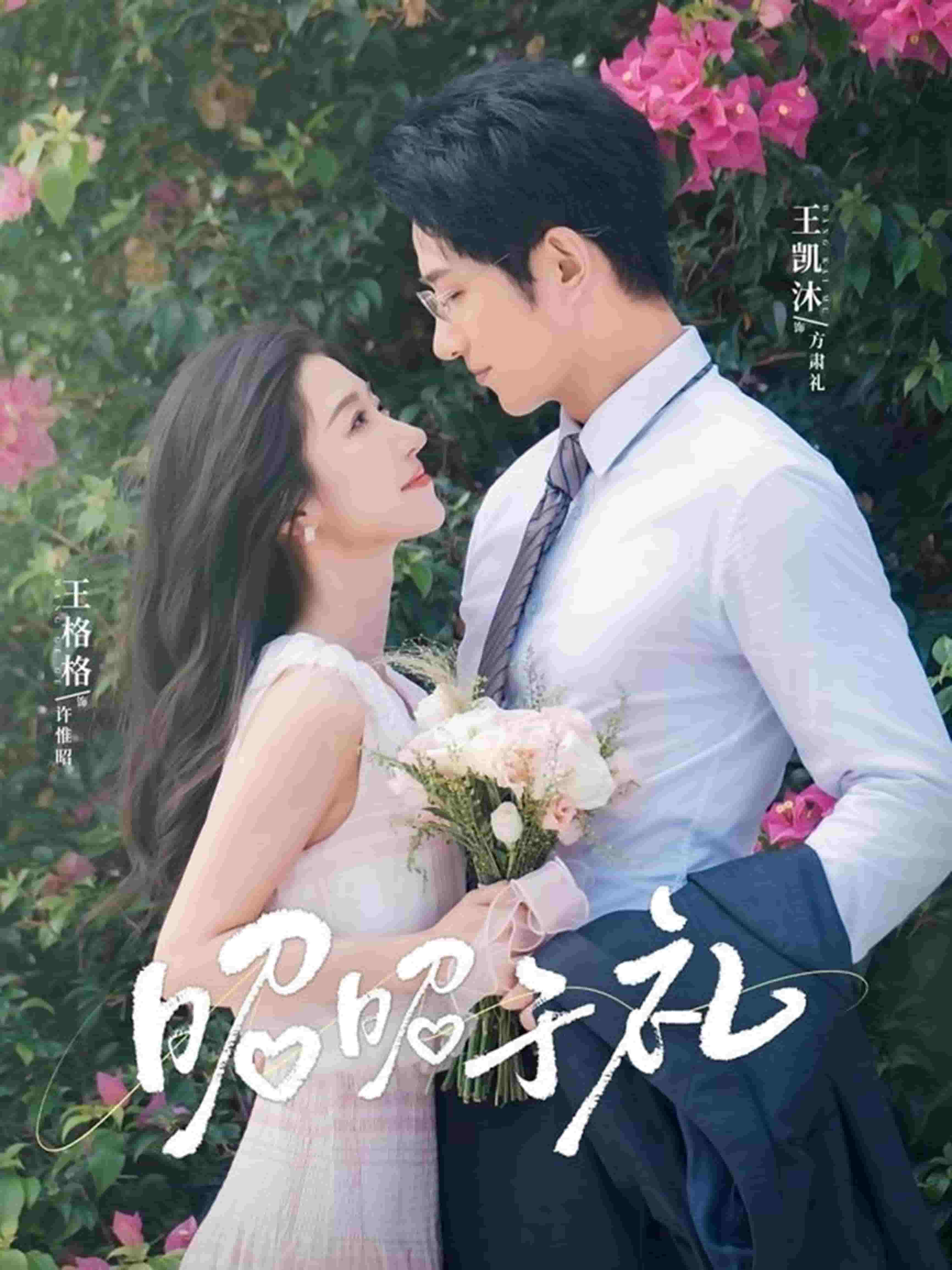 昭昭于礼(全集)