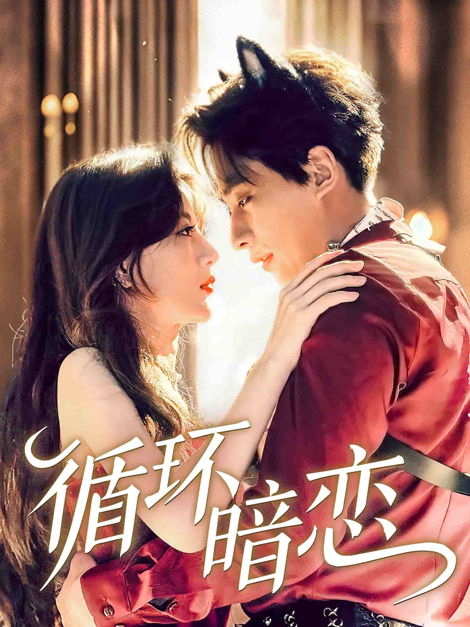 循环暗恋(全集)