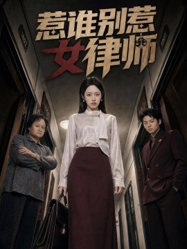 惹谁别惹女律师(全集)
