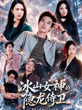 冰山女神的隐龙侍卫(全集)