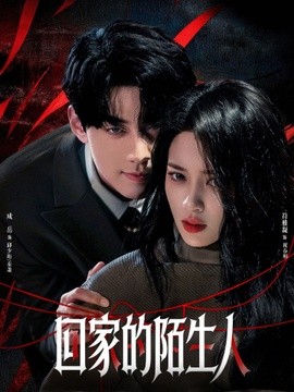 回家的陌生人(全集)