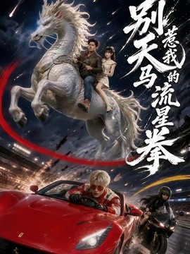 别惹我的天马流星拳(全集)