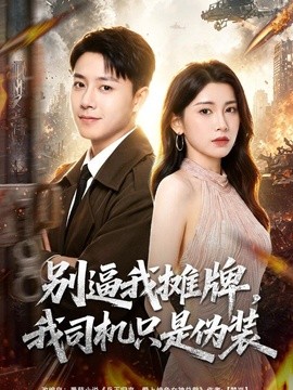 别逼我摊牌，我司机只是伪装(全集)