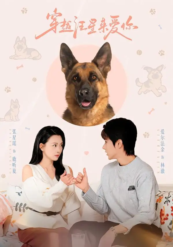 穿越汪星来爱你(全集)