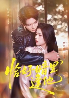 恰好暗里逢他(全集)